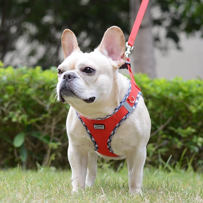 Mercano Soft Mesh Dog Harness and Leash Set, No-Chock Step-in Reflective Breathable Lightweight Easy Walk Escape Proof Vest Harnesses with Safety Buckle for Small Medium Dogs, Cats (Red, S)