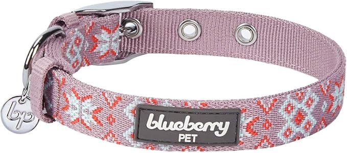 Blueberry Pet 3 Patterns Southwestern Modern Tribal Print Thistle Braided Adjustable Dog Collar with Metal Buckle, Neck 17-20.5", for Large Breed
