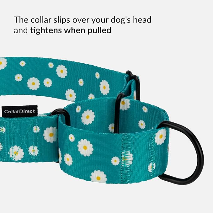 CollarDirect Martingale Collars for Dogs Heavy Duty Floral Pattern Female Safety Nylon Training Wide Collar Flower Design Large Medium (L, Neck Size 15"-20", Aquamarine)