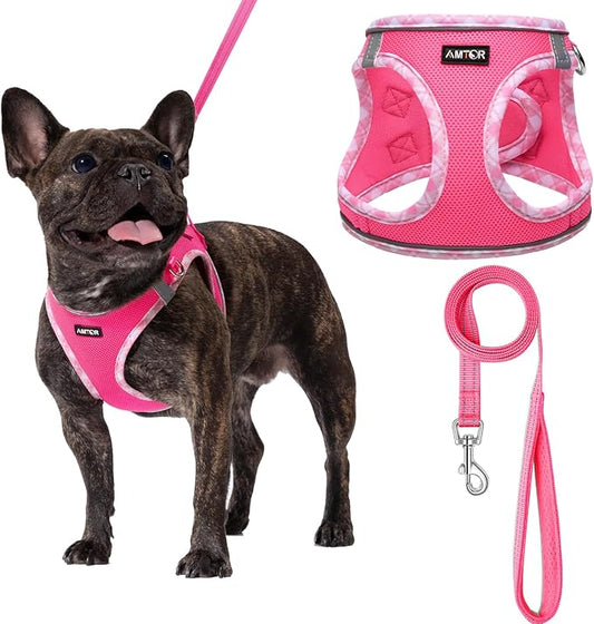 AMTOR Small Dog Harness with Leash Set, No Escape Easy Walk Puppy Harnesses for Training Walking, Step-in Reflective Soft Dogs Vest for XS S Medium Extra-Small Large Sized Dog(Fuchsia,XXS)