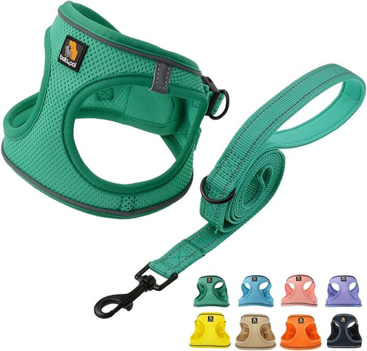 BELLA & PAL Puppy Harness with Leash Set, Dog Harness for Small Dogs No Pull, Dog Leash for Small Dogs, Step in Harness for Extra Small Dogs, Green Harness, L