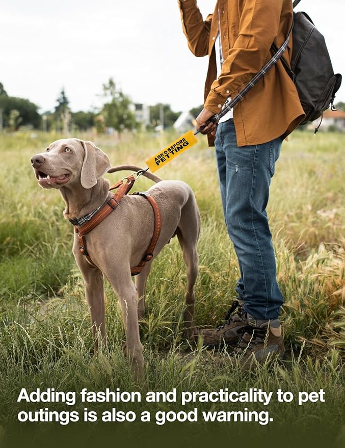 Ask Before Petting Dog Leash Sleeve, Yellow Training Alert Reactive Dog Tags Dog Leash Sleeve Alert Hanging ID Patch Tag, Pet Dog Birthday Service Dog Leash Gift for Dog Owners