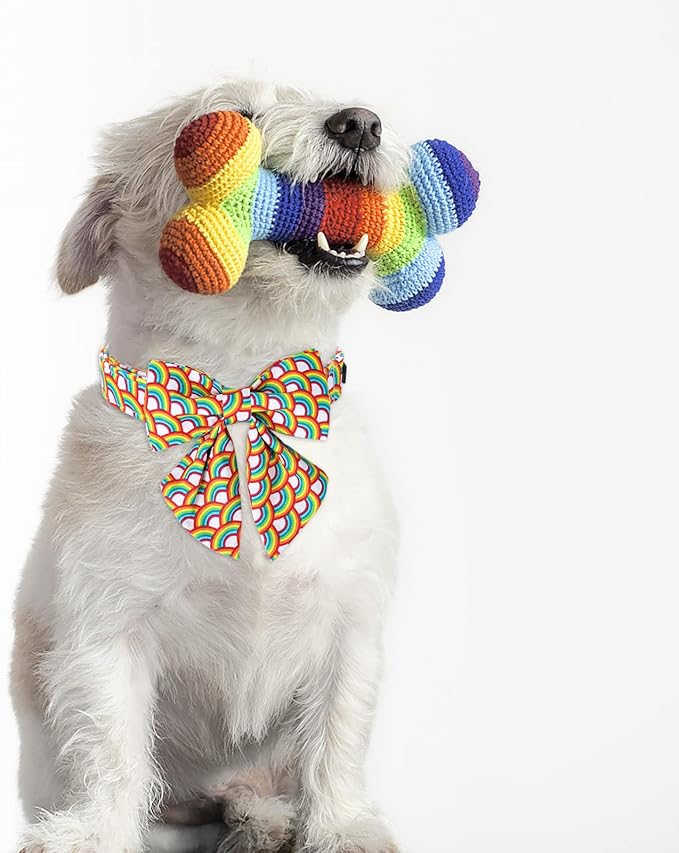 Lionet Paws Rainbow Dog Collar with Sailor Bow, Soft and Comfortable Adjustable LGBT Pride Collar for Dogs, Medium, Neck 13.5-22 inches