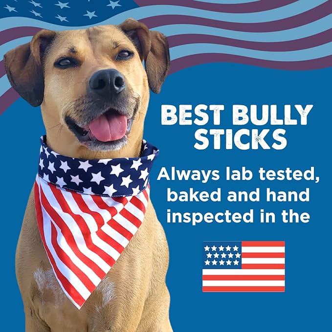 Best Bully Sticks All Natural 6 Inch Thick Bully Sticks for Large Dogs - 100% Free-Range Grass-Fed Beef - Single-Ingredient Grain & Rawhide Free Dog Chews - 5 Pack
