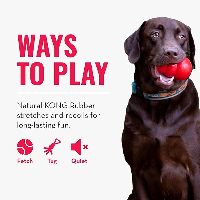 KONG Tug Toy - Dog Supplies for Tug of War - Natural Rubber Dog Toy for Outdoor & Indoor Playtime - for Medium/Large Dogs