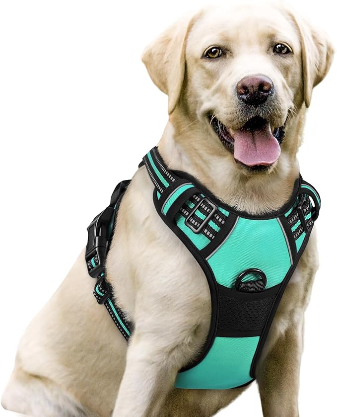 rabbitgoo Dog Harness, No-Pull Pet Harness with 2 Leash Clips, Adjustable Soft Padded Dog Vest, Reflective No-Choke Pet Oxford Vest with Easy Control Handle for Large Dogs, Turquoise, L