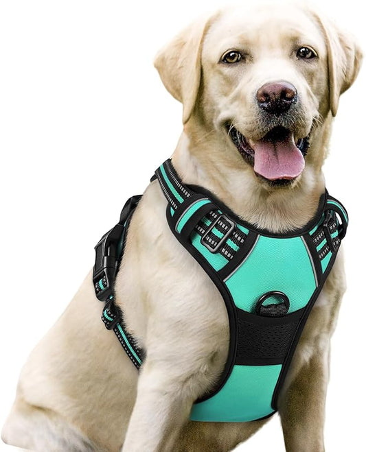 rabbitgoo Dog Harness, No-Pull Pet Harness with 2 Leash Clips, Adjustable Soft Padded Dog Vest, Reflective No-Choke Pet Oxford Vest with Easy Control Handle for Large Dogs, Turquoise, L