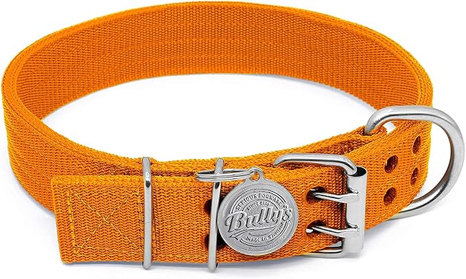 Pit Bull Collar, Dog Collar for Large Dogs, Heavy Duty Nylon, Stainless Steel Hardware (Medium-1.5 Inches Wide, Orange Juice)