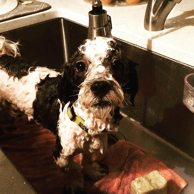 Vegan Organic Pet Soap/Bar Shampoo Big 7 oz bar, Hypoallergenic, Organic Oatmeal, Olive & Coconut Oils, Shea Butter, Vitamin E and Neroli Essential Oil.