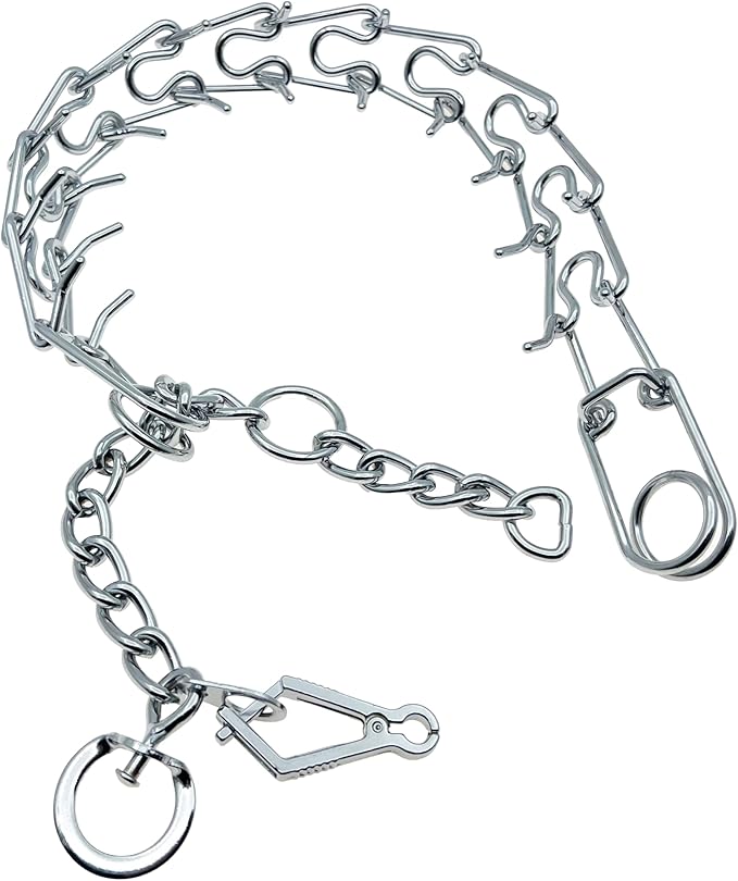 Silver Prong Pinch Dog Collar, No Pull Dog Collar Adjustable Quick Release Dog Training Collar with Quick Release Buckle for Small Medium Large Dogs (Silver, L)