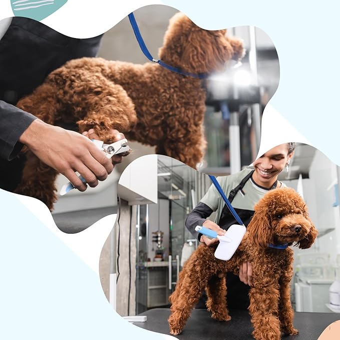 Baderke 6 Pcs Dog Grooming Set with Dog Bathing Leash with Suction Cup, Pin Comb, Straight Comb, Nail Clippers Set, and Bath Brush for Pet Bathing Shower Grooming