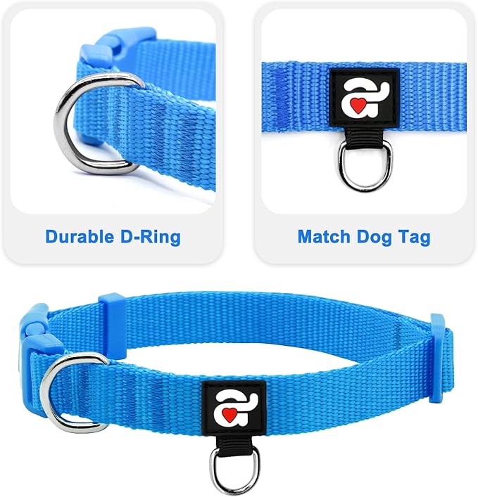 azuza 3 Pack Dog Collars Comfortable and Adjustable Nylon Dog Collars for for Small Dogs, S (11-16inch)，Green, Blue and Royal Blue