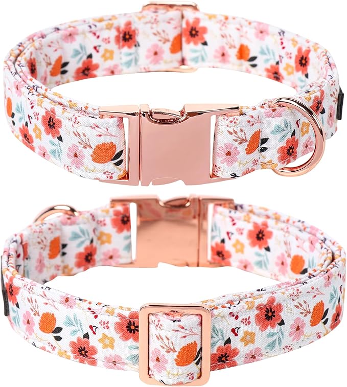 Lionet Paws Dog Collar, Adjustable Cute Collar with Metal Buckle for Male Female Puppies Gift,Summer Flower, Small, Neck 10-16 inches