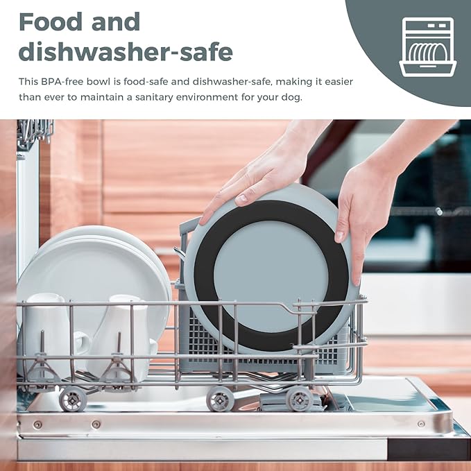 Stainless Steel Bowls for Small Dogs, 40 Ounces/5 Cup Food and Water Bowl, Double Wall Weighted Dish, Rustproof Metal Pet Bowls With Non-Slip Silicone Base