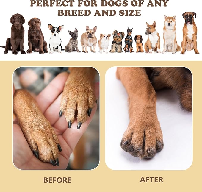 Dog Nail Scratch Board - 3 in 1 Rotatable Round Dog Scratch Pad for Nails with Treat Box, Dog Nail File Toy, Scratching Board for Dogs,Shorten Dog’s Side Nail Easier for Small and Large Dogs