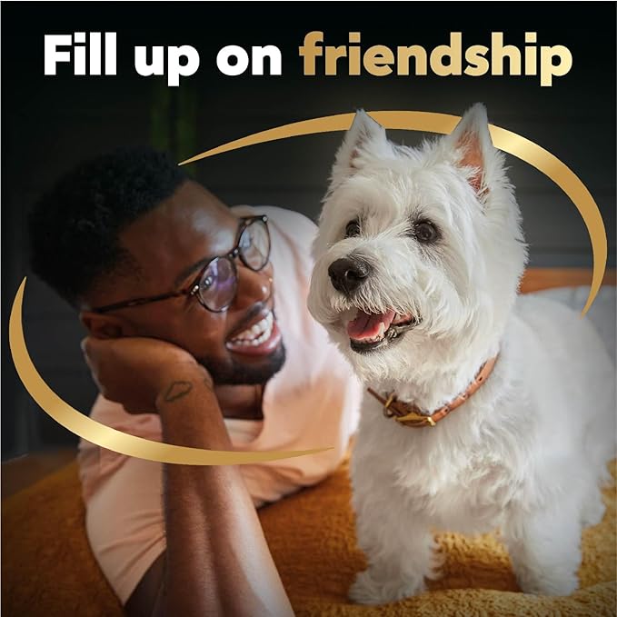 Cesar Wet Dog Food 40 Count Multipack