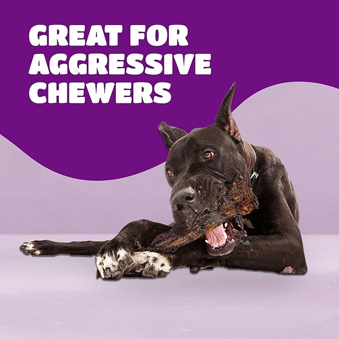 Liver Coated Dog Bones for Aggressive Chewers, Chew Bones for Large Dogs, Beef Shin Large Dog Bones for Medium Dogs, Long Lasting Dog Bones, Dog Chew Bones, 10 Pack