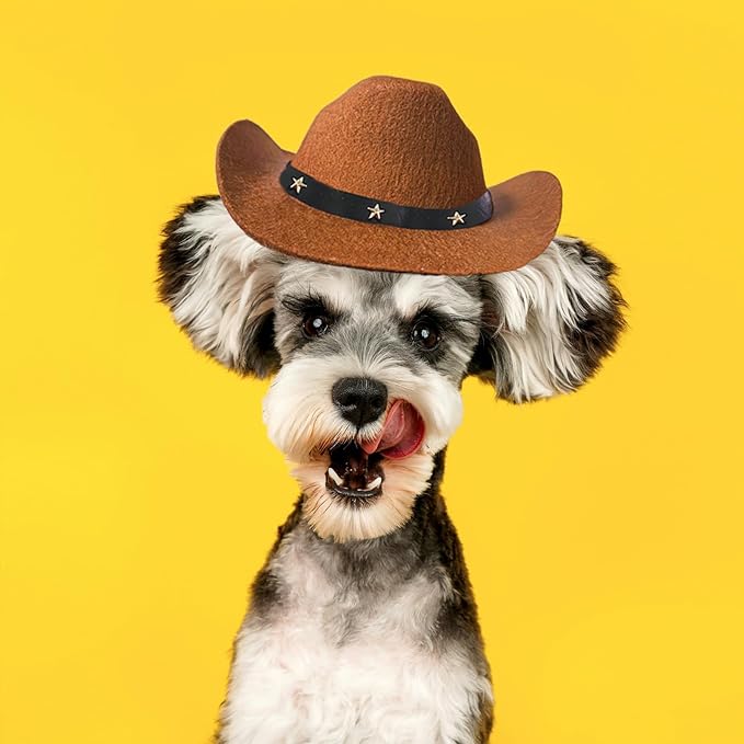 Pet Dog Cowboy Hat Cosplay Cap Puppy Pet Dog Cat Holiday Costume Pet Party Decoration