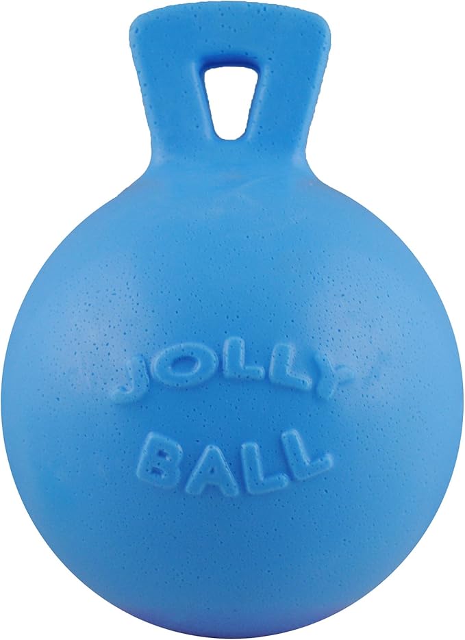 Jolly Pets Tug-n-Toss Heavy Duty Dog Toy Ball with Handle, 10 Inches/X-Large, Blueberry for All Breed Sizes