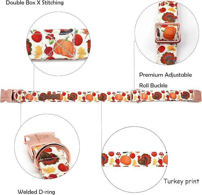 Lionheart glory Turkey Dog Collar Thanksgiving Dog Collar Girl or Boy Dogs Collar Pet Gift Holiday Dog Collar for Large Dog