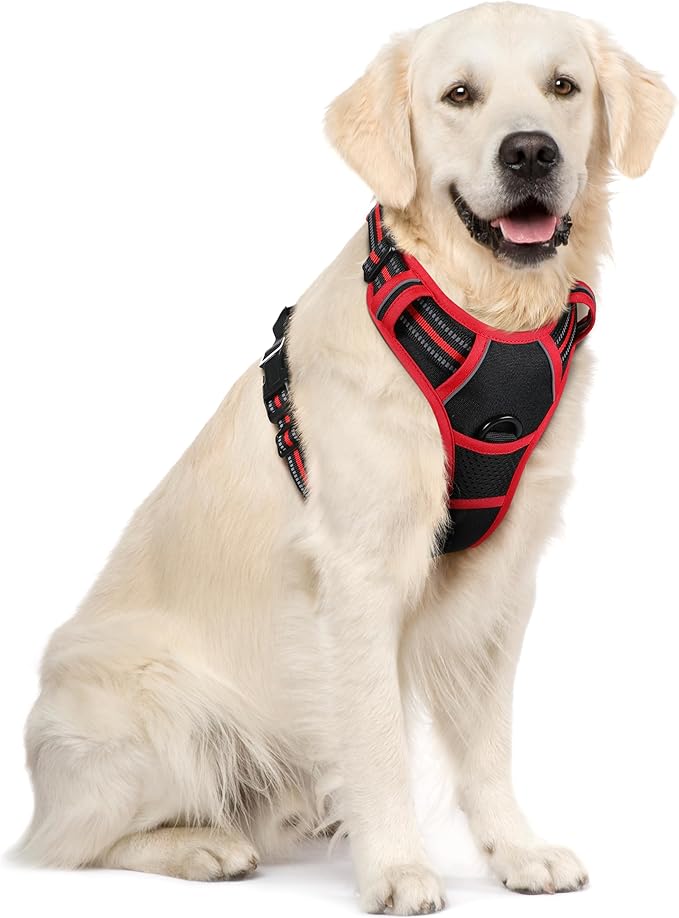 rabbitgoo Dog Harness, No-Pull Pet Harness with 2 Leash Clips, Adjustable Soft Padded Dog Vest, Reflective No-Choke Pet Oxford Vest with Easy Control Handle for Large Dogs, Black & Red, XL