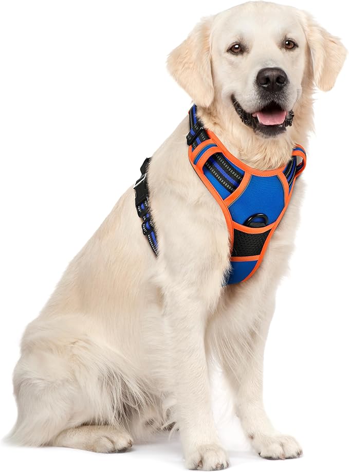 rabbitgoo Dog Harness, No-Pull Pet Harness with 2 Leash Clips, Adjustable Soft Padded Dog Vest, Reflective No-Choke Pet Oxford Vest with Easy Control Handle for Large Dogs, Blue & Orange, XL