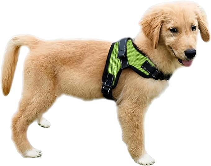 No Pull Reflective Adjustable Dog Harness With Handle- Comfortable Soft All Weather Mesh, Easy On Puppy Harness For Small Medium and Large Dogs (Green) Small