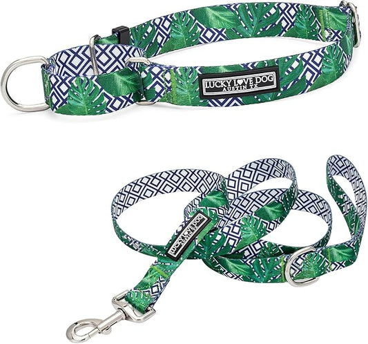 Lucky Love Dog Martingale Collar and Leash Set, Premium No Slip Martingale Collar for Large Boy Dogs, Great for Whippets, Greyhounds, and More (Large, Blue Laguna - Combo)