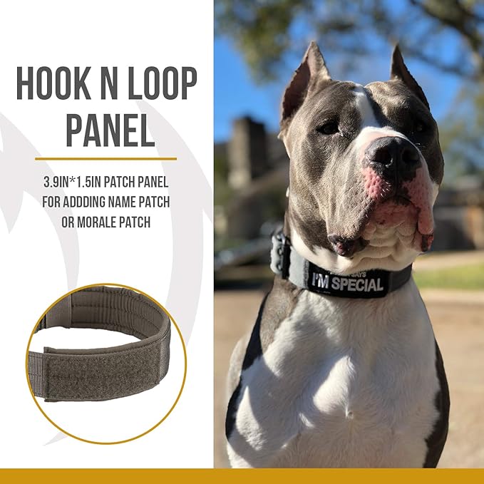 OneTigris Military Adjustable Dog Collar with Metal D Ring & Buckle 2 Sizes (Coyote Brown, L)