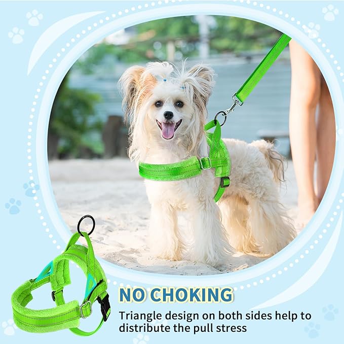 SlowTon No Pull Small Dog Harness and Leash Set, Puppy Soft Vest Harness Neck & Chest Adjustable, Reflective Lightweight Harness & Anti-Twist Pet Lead Combo for Small Medium Dogs(G,XXS)