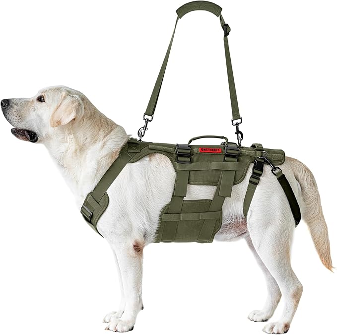 OneTigris Dog Lift Harness for Large Dogs, Dog Hip Support Brace, Full Body Dog Lifter with Handles Invictus Multifunctional Mobility Assistance Vest for Back Legs (Green, Medium)