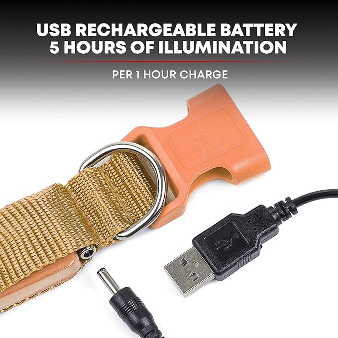 LED Dog Collar, USB Rechargeable, XX-Small (XXS) - 8.6'' - 11.4'', Bright Orange