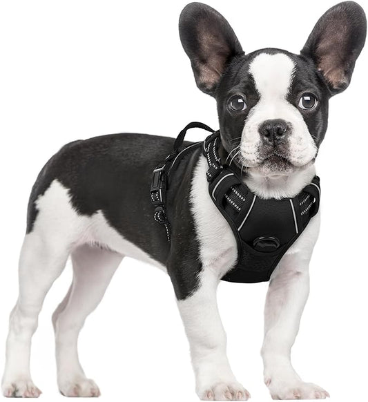 rabbitgoo Dog Harness, No-Pull Pet Harness with 2 Leash Clips, Adjustable Soft Padded Dog Vest, Reflective No-Choke Pet Oxford Vest with Easy Control Handle for Small Dogs, Black, S