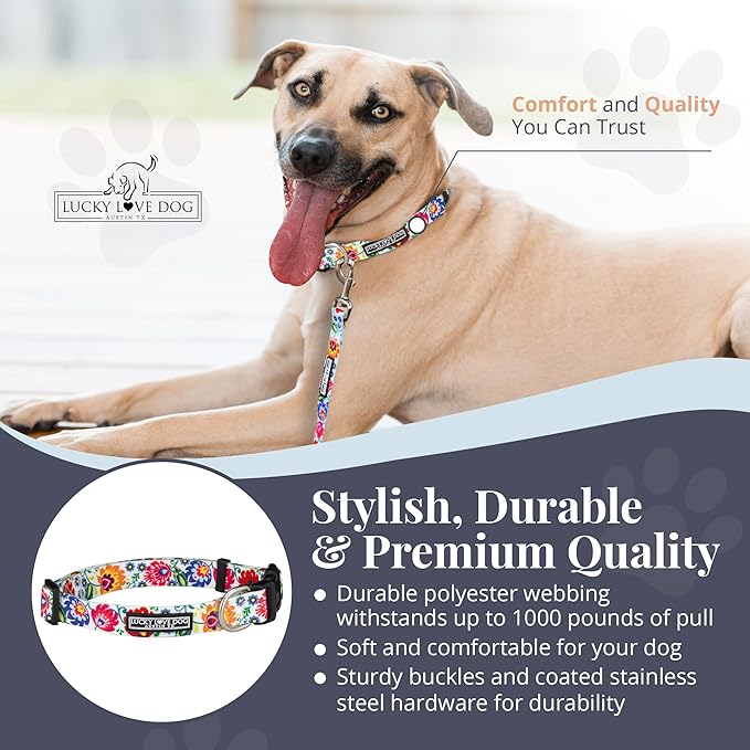 Lucky Love Dog - Adjustable Dog Collar with Easy Click Buckle for Small to Large Dogs, Durable, & Comfortable Collar for Male & Female Dogs, Pet Collar for Puppies & Adult Dogs - Ladybird, Medium