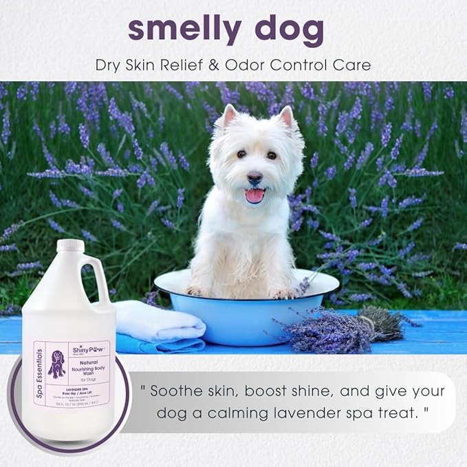 Lavender Shampoo Spa Essentials Nourishing Dog Body Wash 128 oz by Shiny Paw | Anti Itch Shampoo for Dogs | Dog Bath Coat Cleaner for Dogs | Made in The USA