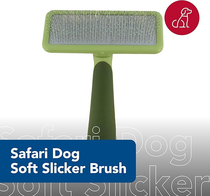 Coastal Pet Safari Dog Soft Slicker Brush - Dog Grooming Brush for Shedding - for Dogs with Short, Medium and Long Hair - Large - 6.75" x 4.375"