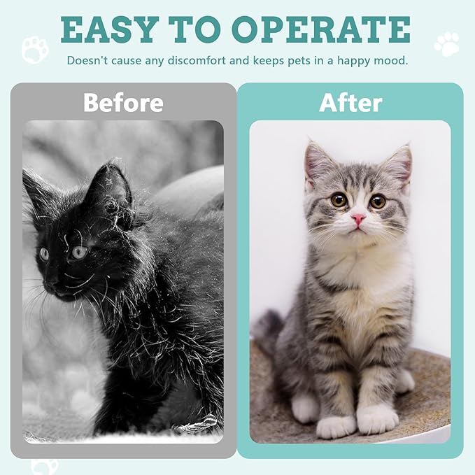 5 Pieces Colorful Pet Knotting Comb Set, Small Plastic Cat Hair Removal Tool, Multifunctional Dematting Comb for Dogs Grooming Removing Loose Tangled Supplies (5)