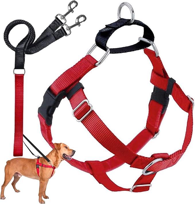 2 Hounds Design Freedom No Pull Dog Harness | Comfortable Control for Easy Walking |Adjustable Dog Harness and Leash Set | Small, Medium & Large Dogs | Made in USA | Solid Colors | 1" XL Red
