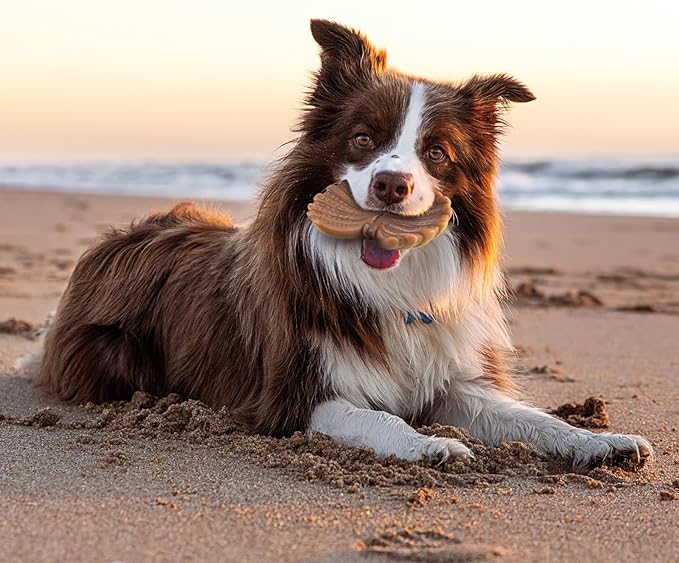 Dog Toys for Aggressive Chewers, Indestructible Dog Toys for Large Dogs, Dog Chew Toys for Large Medium Small Breed, 3 Pack Super Chewer Dog Toys with Tough Nylon, Gift for Dogs