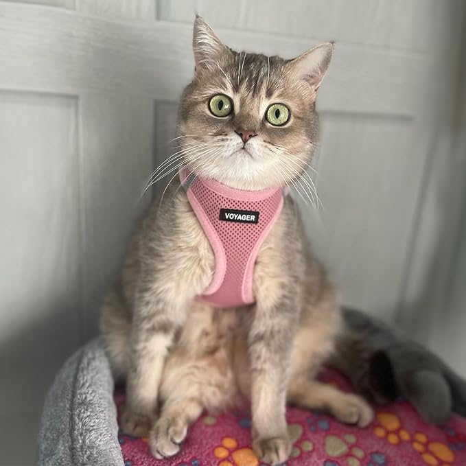 Voyager Step-in Air Dog Harness - All Weather Mesh, Reflective, No Pull Harness for Small, Medium Dogs, Cats - Secure with Hook & Loop Fastener, Buckle, Double D-Rings - Pink, XS