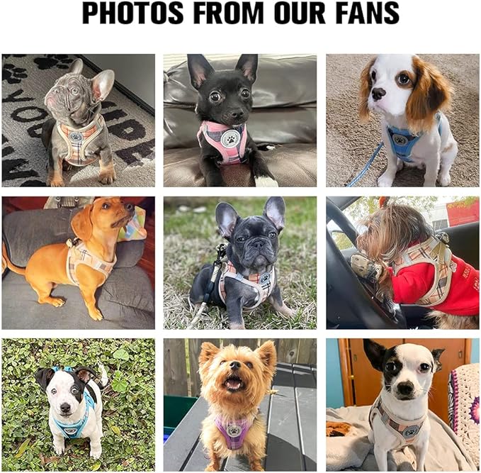 BEAUTYZOO Dog Harness and Leash Set,Step in No Chock No Pull Soft Mesh Reflective for Extra-Small/Small Medium Puppy Dogs and Cats, Plaid Dog Vest Harness for XS S Pets, Purple S