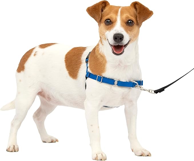 PetSafe Easy Walk No-Pull Dog Harness - The Ultimate Harness to Help Stop Pulling - Take Control & Teach Better Leash Manners - Helps Prevent Pets Pulling on Walks, Small, Royal Blue/Navy Blue