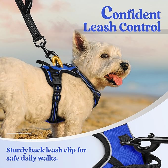 rabbitgoo Dog Harness, No-Pull Pet Harness with 2 Leash Clips, Adjustable Soft Padded Dog Vest, Reflective No-Choke Pet Oxford Vest with Easy Control Handle for Small Dogs, Dazzling Blue,XS