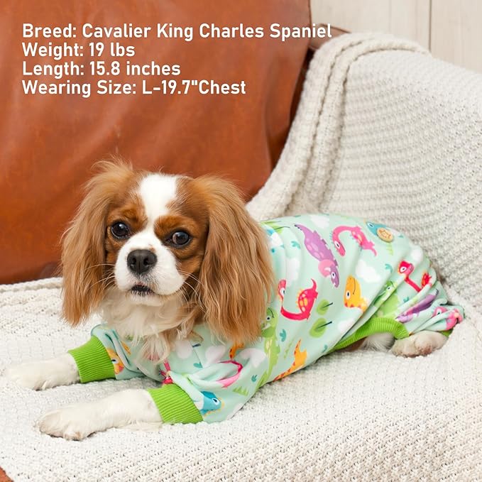 KYEESE Dog Pajamas Small Dog Pajamas with Colorful Dinosaurs Stretchy Pet Jammies Onesie Velvet Pjs Comfy Clothes for Dogs Boy Girl Soft Outfit, X-Large