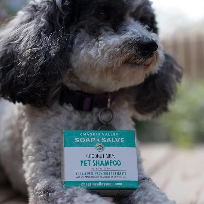 Chagrin Valley Soap & Salve Organic Dog Shampoo and Conditioner - Puppy Shampoo Itchy Skin Relief and Puppy Essentials - Natural Handmade Cedarwood Lavender, 3.8 oz Bar Soap 3-PK