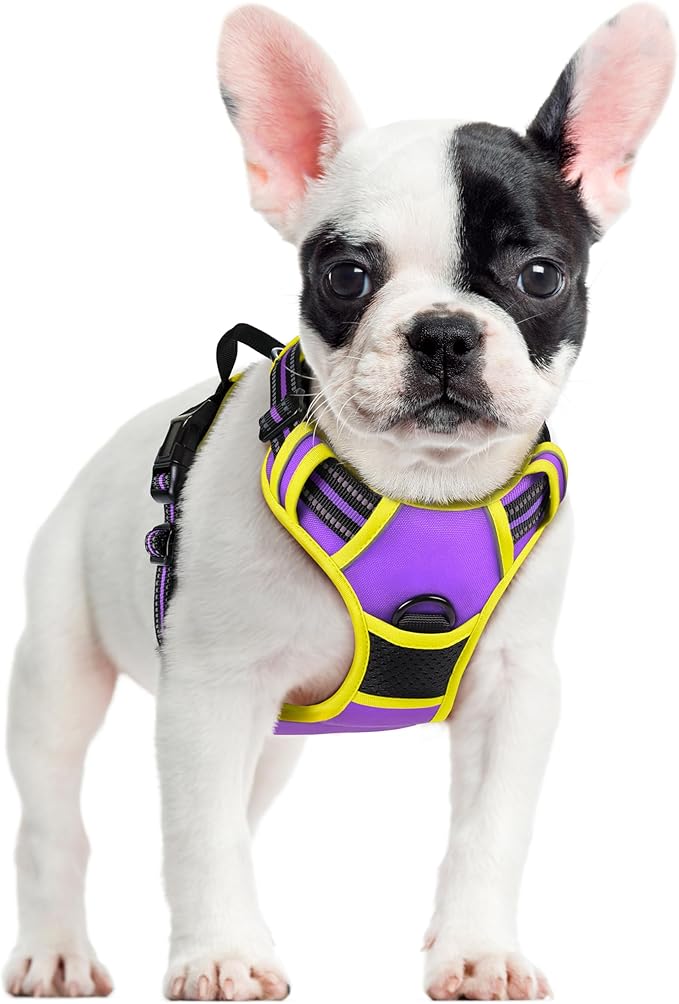 rabbitgoo Dog Harness, No-Pull Pet Harness with 2 Leash Clips, Adjustable Soft Padded Dog Vest, Reflective No-Choke Pet Oxford Vest with Easy Control Handle for Large Dogs, Purple & Yellow, S