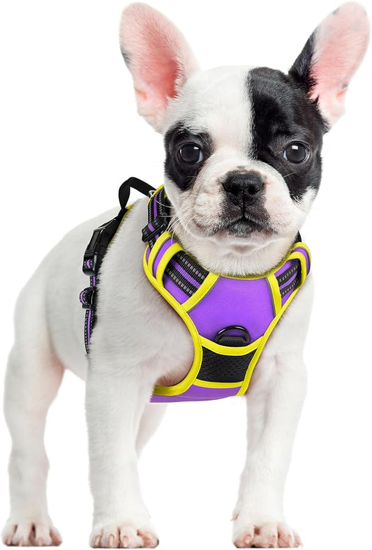 rabbitgoo Dog Harness, No-Pull Pet Harness with 2 Leash Clips, Adjustable Soft Padded Dog Vest, Reflective No-Choke Pet Oxford Vest with Easy Control Handle for Large Dogs, Purple & Yellow, S