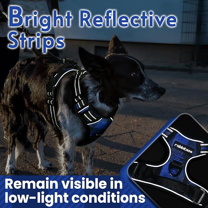rabbitgoo Dog Harness for Large Dogs No Pull, Comfortable Padded Plaid Dog Harness with Handle Easy Control, Adjustable Reflective Puppy Pet Harness Vest with 2 Leash Clips, Blue Plaid, L