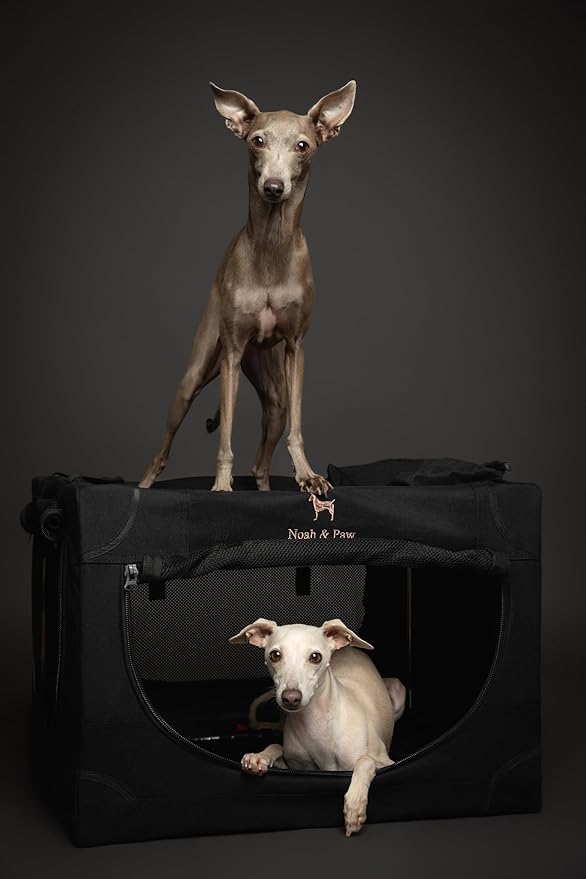 Noah & Paw Collapsible Dog Crate 26 Inch, Small Dog Crate for Small Medium Breeds, Travel Kennel for Car, Including Pet Mat for Pet Cage, 2 Storage Pockets, Handbag, 10mm Locking Zipper 26 * 17 * 17