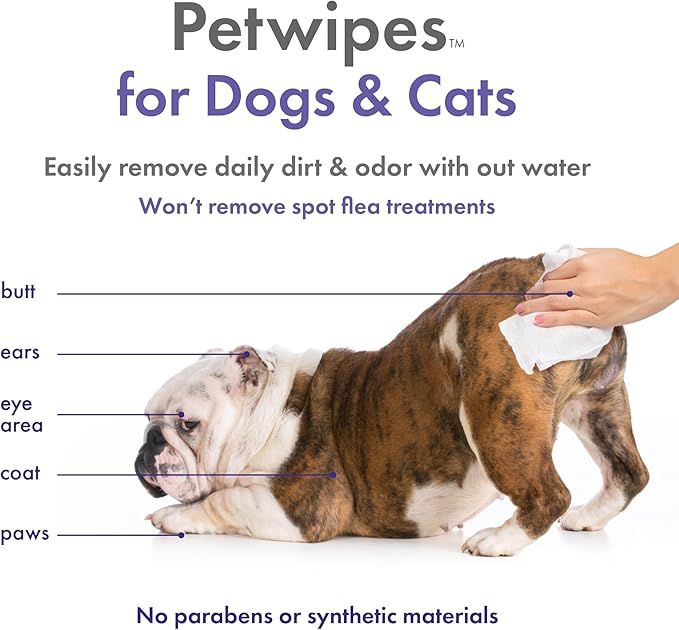 Petkin Plant-Based PetWipes, 100 Wipes, 2 Pack - Biobased, Sustainable, Big & Thick Pet Wipes for Dogs & Cats - for Face, Paws, Ears, Body & Eye Area - Consciously Cleans & Conditions - Lavender